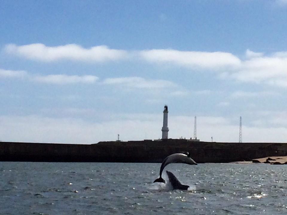 Aberdeen Lighthouse Cottages - Coastal, Dolphins מראה חיצוני תמונה